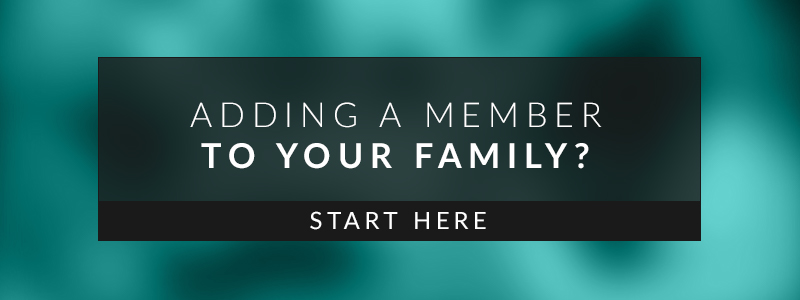 Florida Adoption Attorney