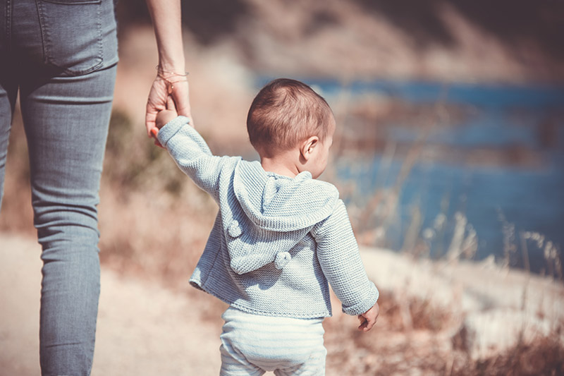 Florida Family Law Firm